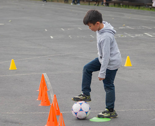 Saratoga Area soccer Experts